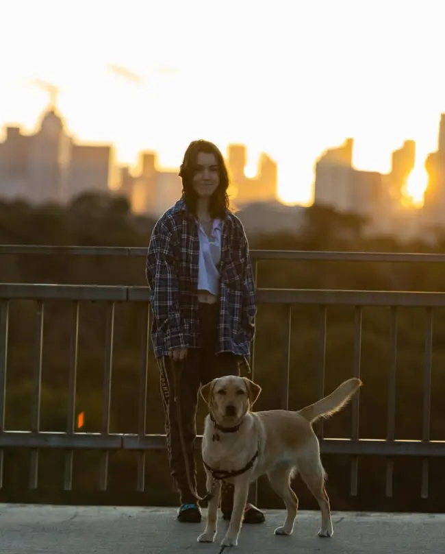 A person with long hair wearing a plaid shirt stands on a bridge at sunset, overlooking the city skyline. A well-groomed Labrador retriever, fresh from a visit to Dog Grooming Melbourne Eaglemont, sits obediently in front of them.